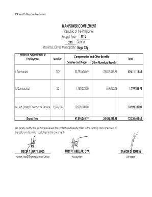 manpower complement meaning|Form 13.